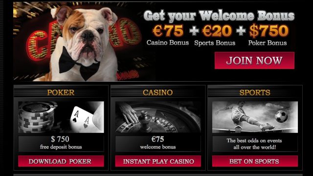 Live Dealer Games on the Bulldog777 Site